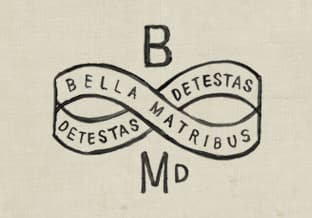 logo, graphiste bordeaux, bmd design, studio graphique