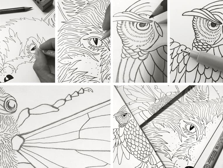 BMD Design / Graphiste Bordeaux