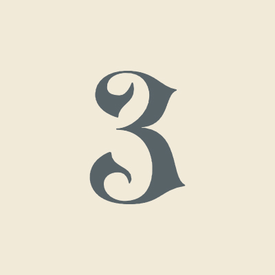 Design graphique et logos pour DS3
