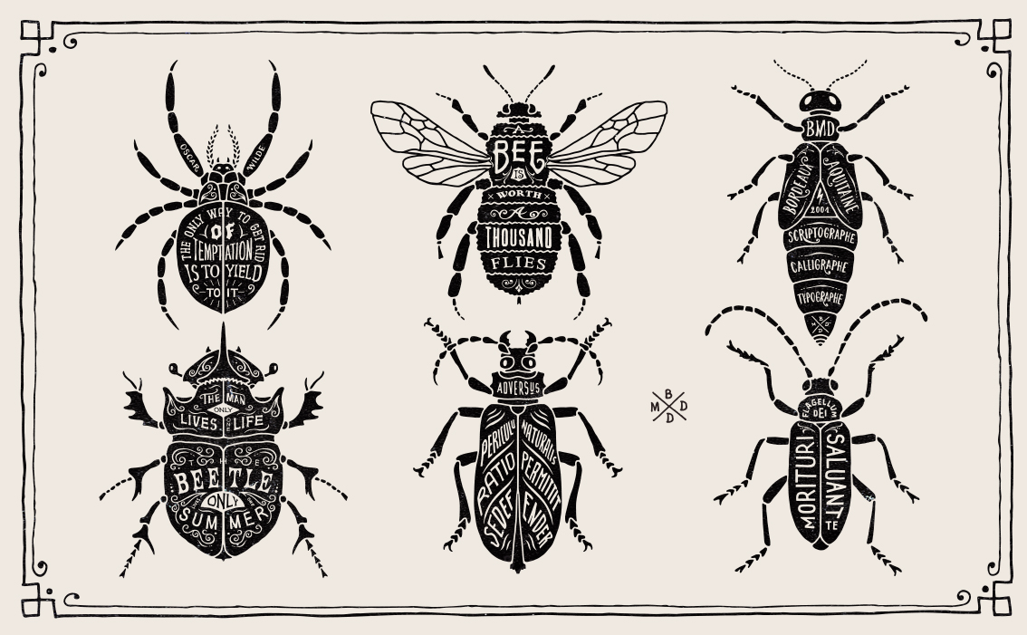 Master-level hand lettering and premium artisanal beverage branding identity