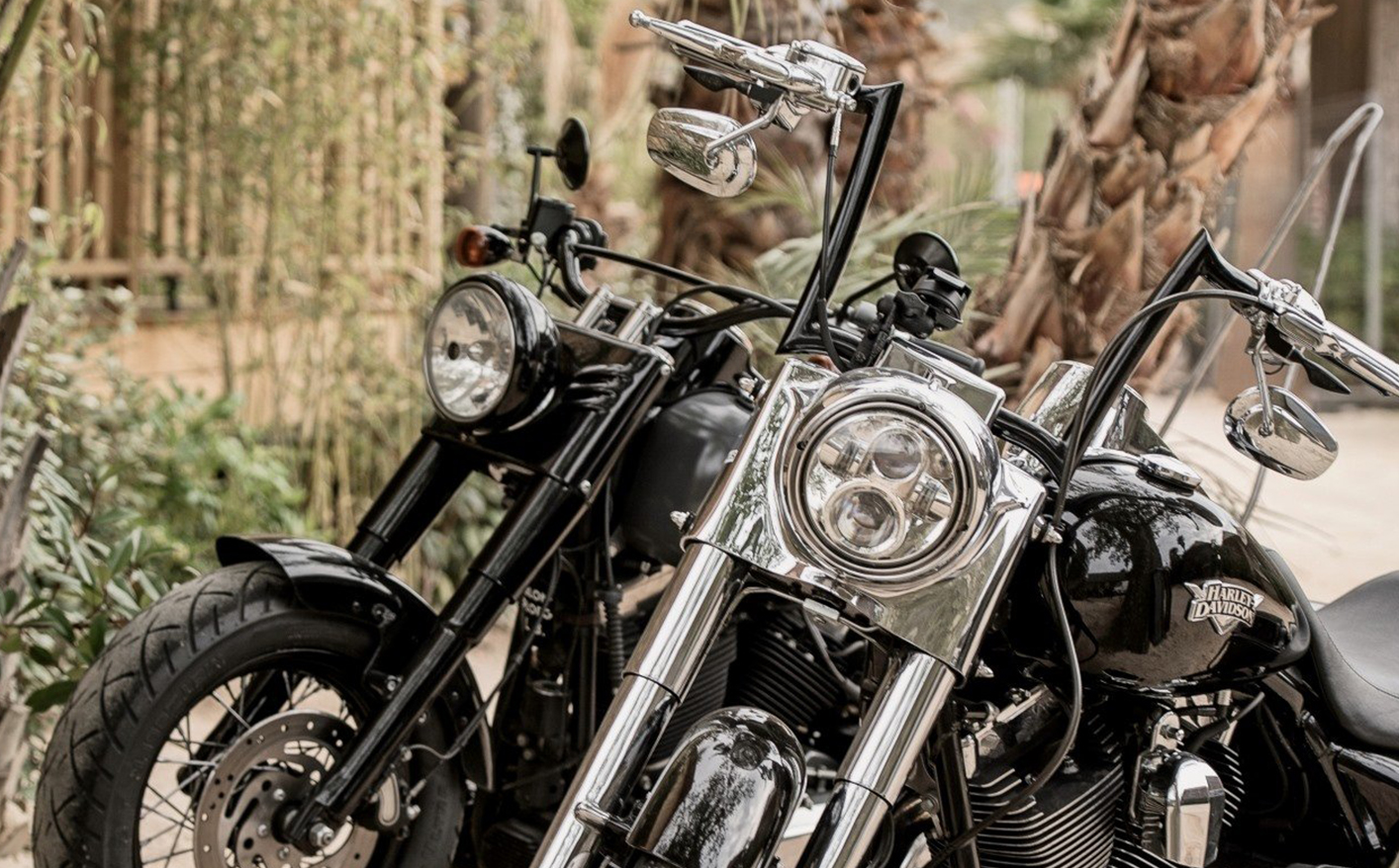 BMD Design / Harley Davidson / Euro Festival