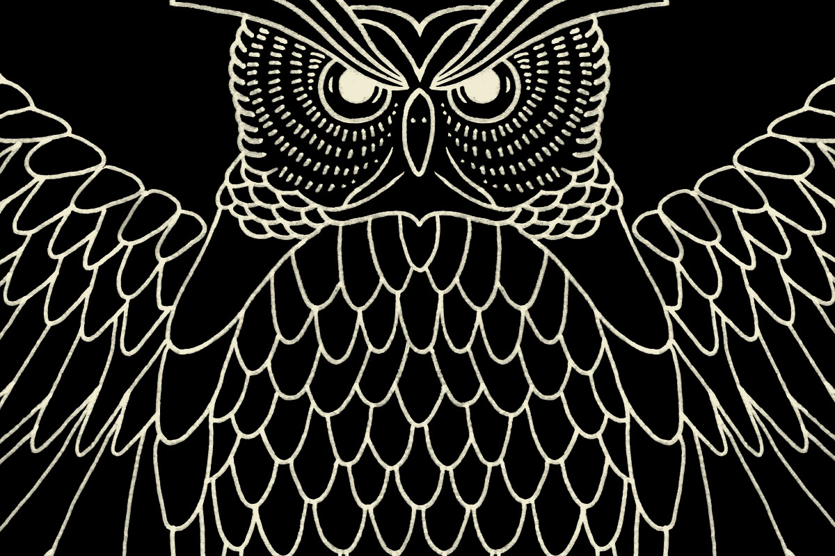 Owl illustration artwork for Mulberry x Georgia May Jagger London Cool biker collection — BMD Design Bordeaux.