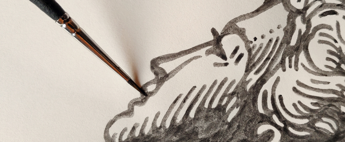 Bmd Design Studio Brand — BMD Design