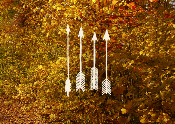 Bmd Design Watercolor Vintage — BMD Design