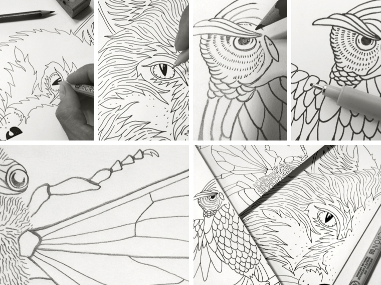 Bmd Design Hand Draw Branding — Portfolio Artisanal BMD Design