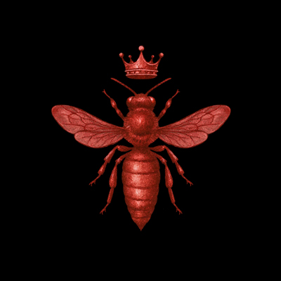 Graphiste Paris — création de logo événementiel fait main pour Aces, BMD Design studio